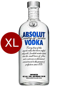 Gelijkenis leugenaar grens Absolut Vodka Original 4,5 liter XXL online kopen? | Drankgigant.nl