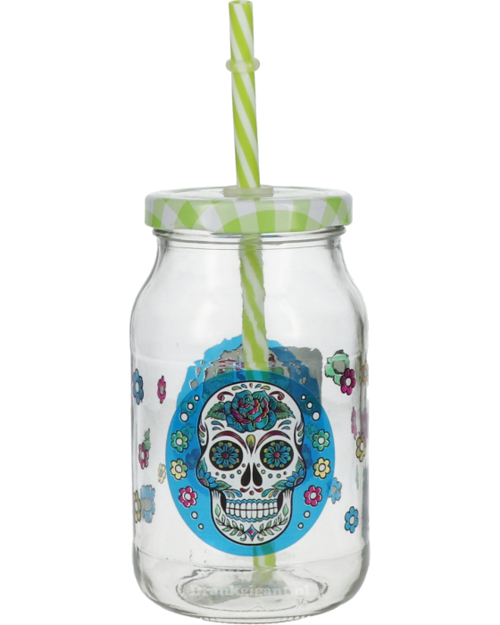 Skull Mason Jar Cerve Drinkglas Met Rietje