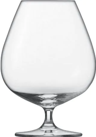 Cognac Glas XL kopen? Drankgigant.nl