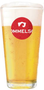 Dommelsch Bierglas 25cl