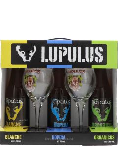 Lupulus Proefbox + Glazen - Drankgigant.nl